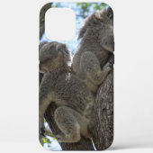 Koala Case-Mate iPhone Case (Achterkant)