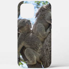 Koala Case-Mate iPhone Case