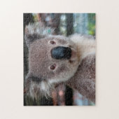 Koala Close Up, Jigzaag Puzzle Legpuzzel (Verticaal)
