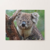 Koala Close Up, Jigzaag Puzzle Legpuzzel (Horizontaal)