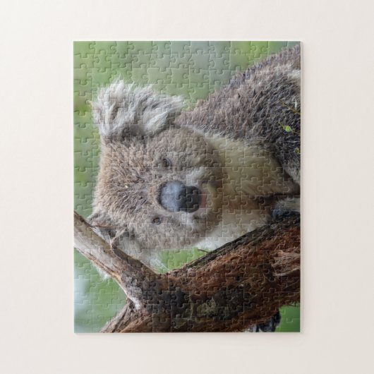 Koala Close Up, Jigzaag Puzzle Legpuzzel (Verticaal)