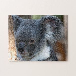 Koala Close Up, Jigzaag Puzzle Legpuzzel