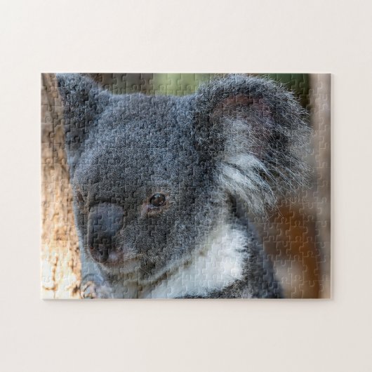 Koala Close Up, Jigzaag Puzzle Legpuzzel (Horizontaal)