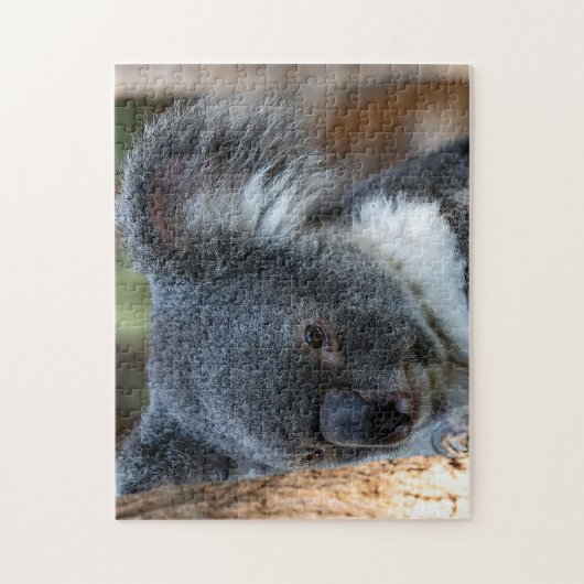 Koala Close Up, Jigzaag Puzzle Legpuzzel (Verticaal)