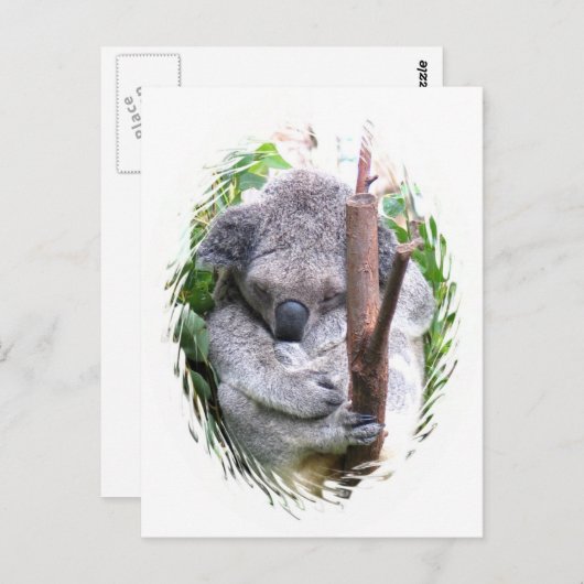 Koala Cuddle Briefkaart (Voorkant / Achterkant)