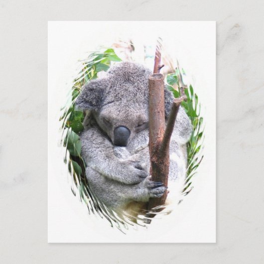 Koala Cuddle Briefkaart (Voorkant)