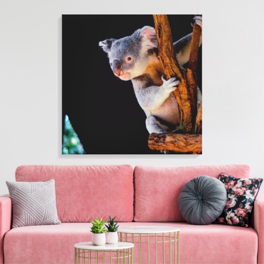 Koala Cute in Tree Grey Canvas Afdruk (Insitu (Woonkamer))