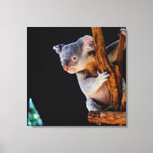 Koala Cute in Tree Grey Canvas Afdruk (Voorkant)