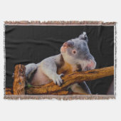 Koala Cute in Tree Grey Deken (Voorkant)