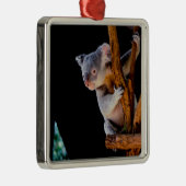 Koala Cute in Tree Grey Metalen Ornament (Rechts)