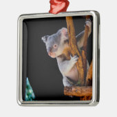 Koala Cute in Tree Grey Metalen Ornament (Links)