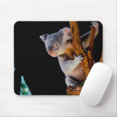 Koala Cute in Tree Grey Muismat (Met muis)