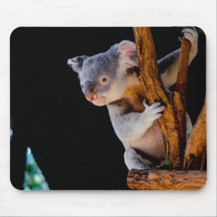 Koala Cute in Tree Grey Muismat