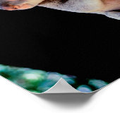 Koala Cute in Tree Grey Poster (Hoek)