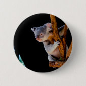 Koala Cute in Tree Grey Ronde Button 5,7 Cm (Voorkant)