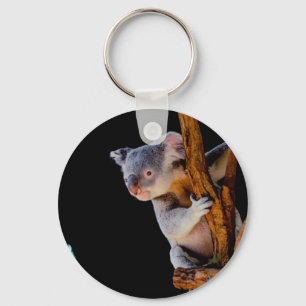 Koala Cute in Tree Grey Sleutelhanger
