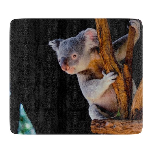 Koala Cute in Tree Grey Snijplank (Voorkant)