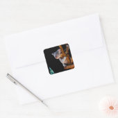 Koala Cute in Tree Grey Vierkante Sticker (Envelop)