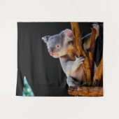 Koala Cute in Tree Grey Wandkleed (Voorkant (horizontaal))