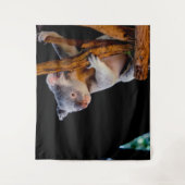 Koala Cute in Tree Grey Wandkleed (Voorkant)