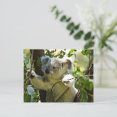 Koala cutie briefkaart (Staand voorkant)