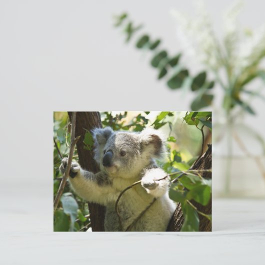 Koala cutie briefkaart (Staand voorkant)
