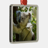 Koala cutie metalen ornament (Rechts)
