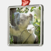 Koala cutie metalen ornament (Links)
