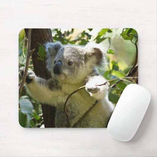 Koala cutie muismat (Met muis)