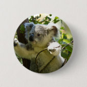 Koala cutie ronde button 5,7 cm (Voorkant)