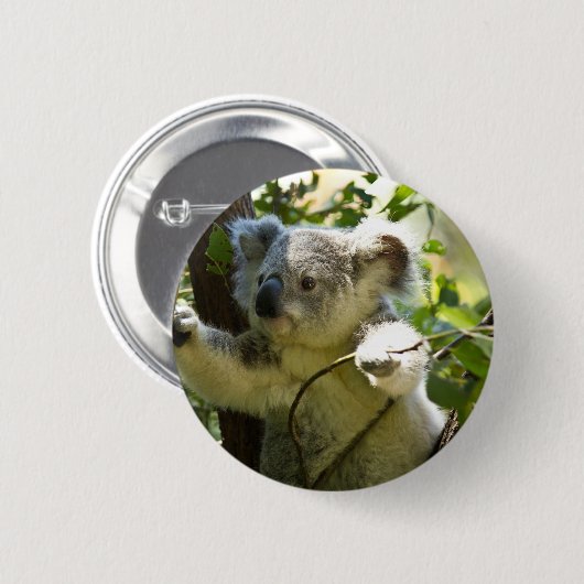 Koala cutie ronde button 5,7 cm (Voorkant /achterkant)
