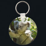 Koala cutie sleutelhanger<br><div class="desc">Schattig Koala Beer</div>