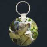 Koala cutie sleutelhanger<br><div class="desc">Schattig Koala Beer</div>