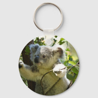 Koala cutie sleutelhanger