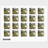 Koala cutie vierkante sticker (Vel)