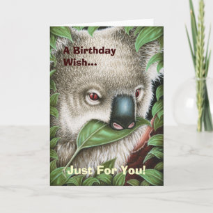 Koala die een Kaart van de Verjaardag van het Blad