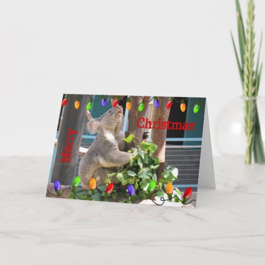 Koala die voor Kerstkaart voorbereidingen treffen Feestdagen Kaart (Voorkant)