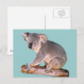 Koala Drawing Briefkaart (Voorkant / Achterkant)