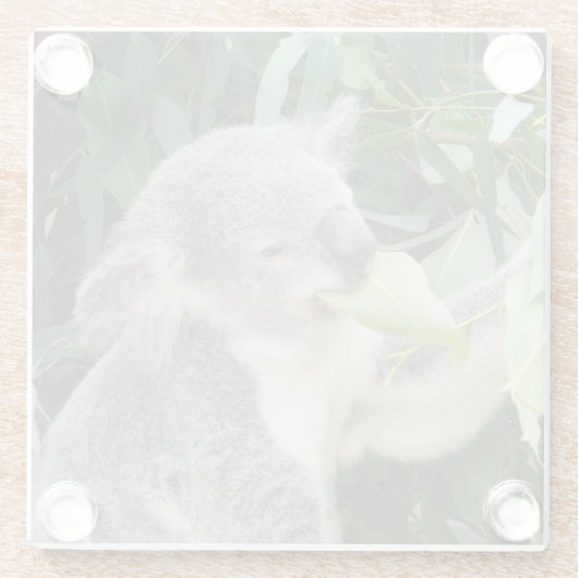 Koala Eating Gum Leaf Glazen Onderzetter (Achterkant)