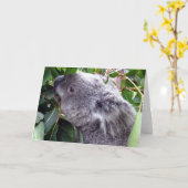 koala eet kaart (Gele Bloem)
