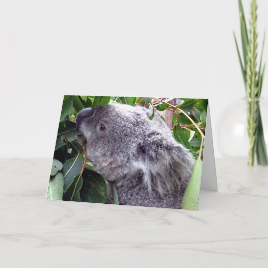 koala eet kaart (Voorkant)