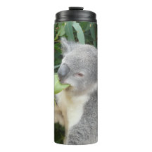 Koala eet kauwblad drinkfles