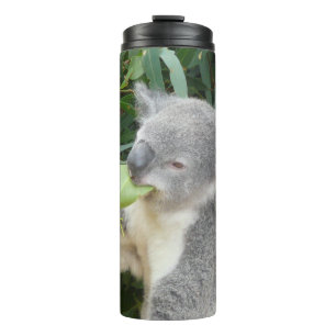 Koala eet kauwblad drinkfles thermosbeker