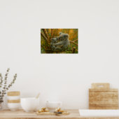 Koala Embrace - Tender Wildlife Painting Poster (Keuken)