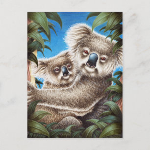 Koala en Baby Briefkaart