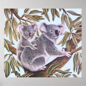 Koala en baby in de Eucalyptusboom Poster (Voorkant)