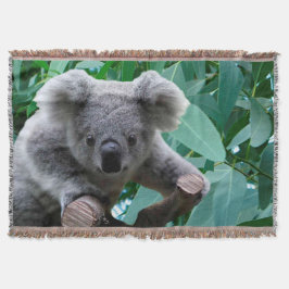Koala en Eucalyptus Deken