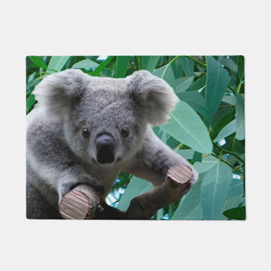 Koala en Eucalyptus Deurmat (Voorkant)