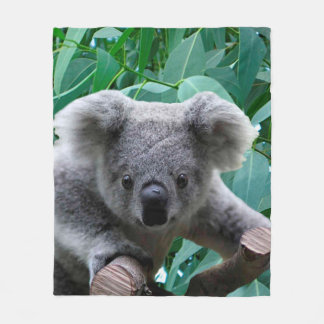 Koala en Eucalyptus Fleece Deken