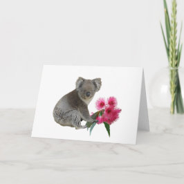 Koala en Eucalyptus Kaart